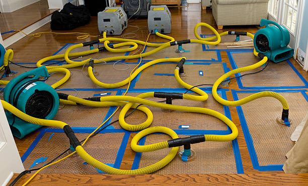 Professional Crawl Space Water Removal technician working in Atlantic, NC